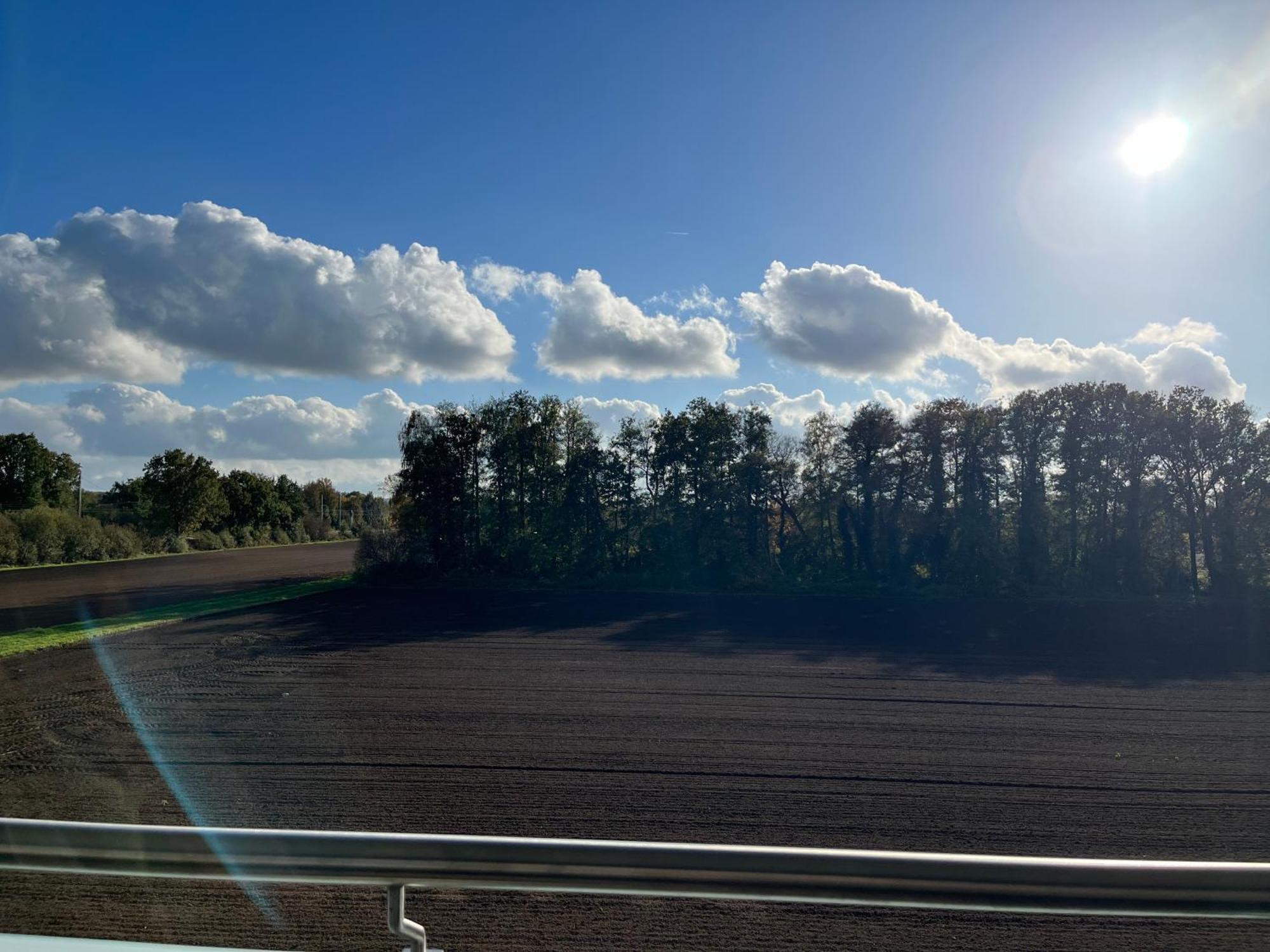 Schoenes Penthouse Duemmer See - Lembruch Hude  Bagian luar foto