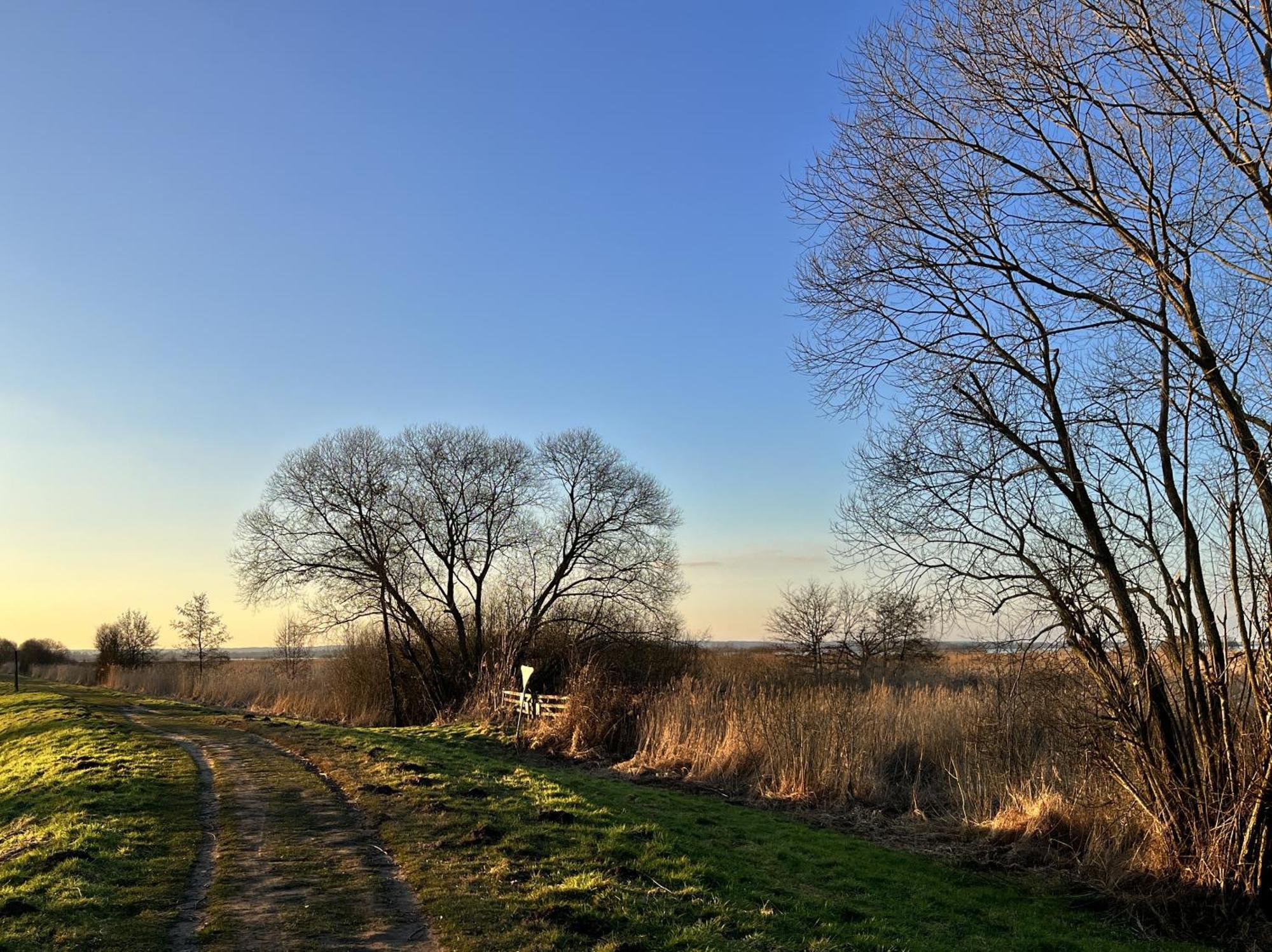 Schoenes Penthouse Duemmer See - Lembruch Hude  Bagian luar foto